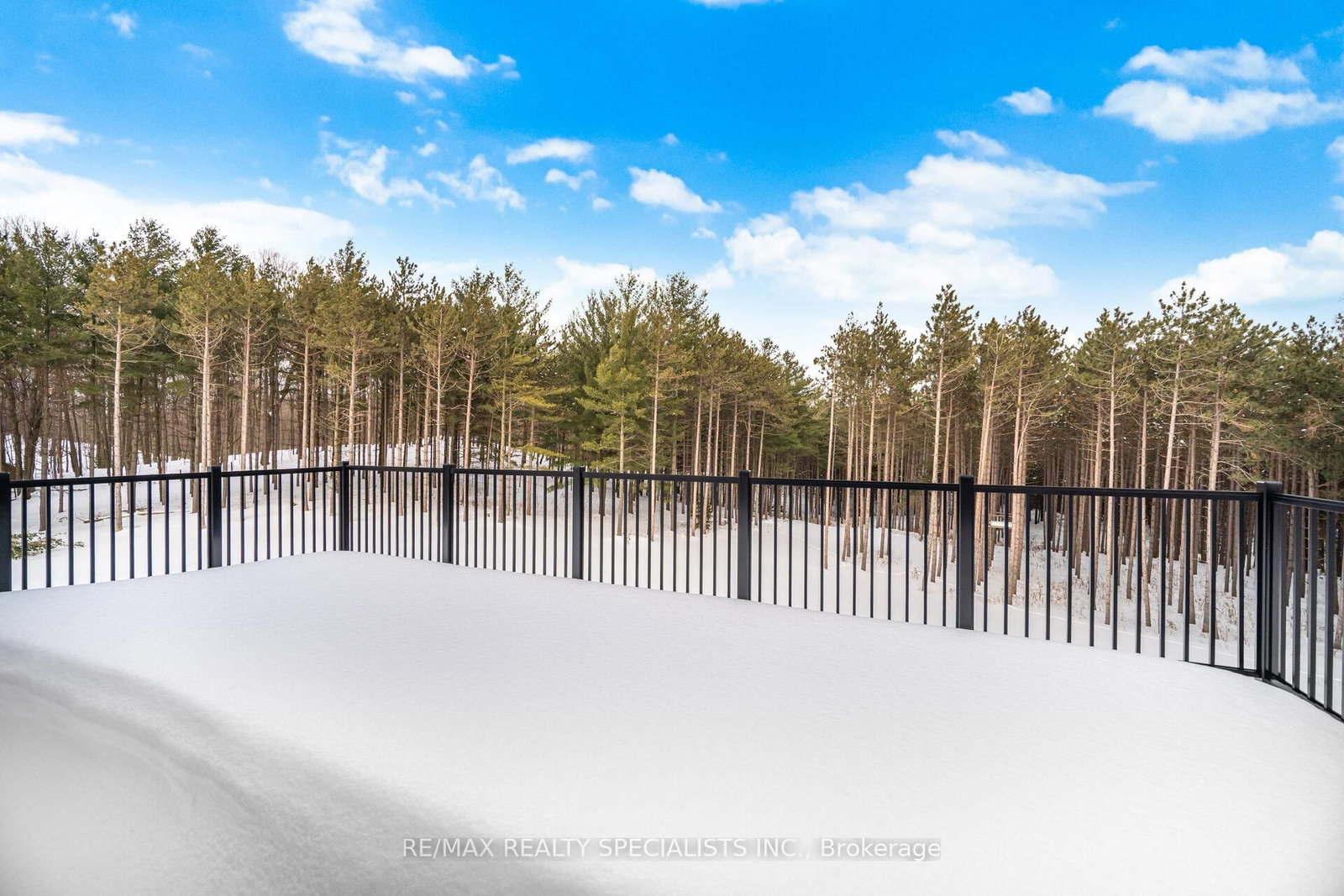 18785 The Gore Rd, Caledon — 31