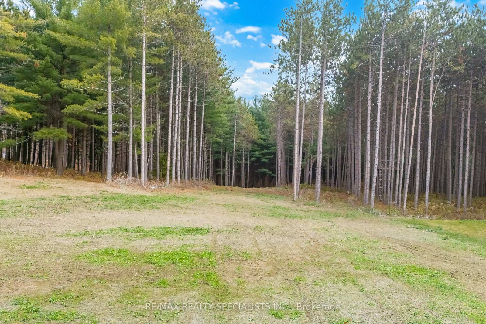 18785 The Gore Rd, Caledon — 41